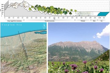 modeling-of-european-n-1.jpg