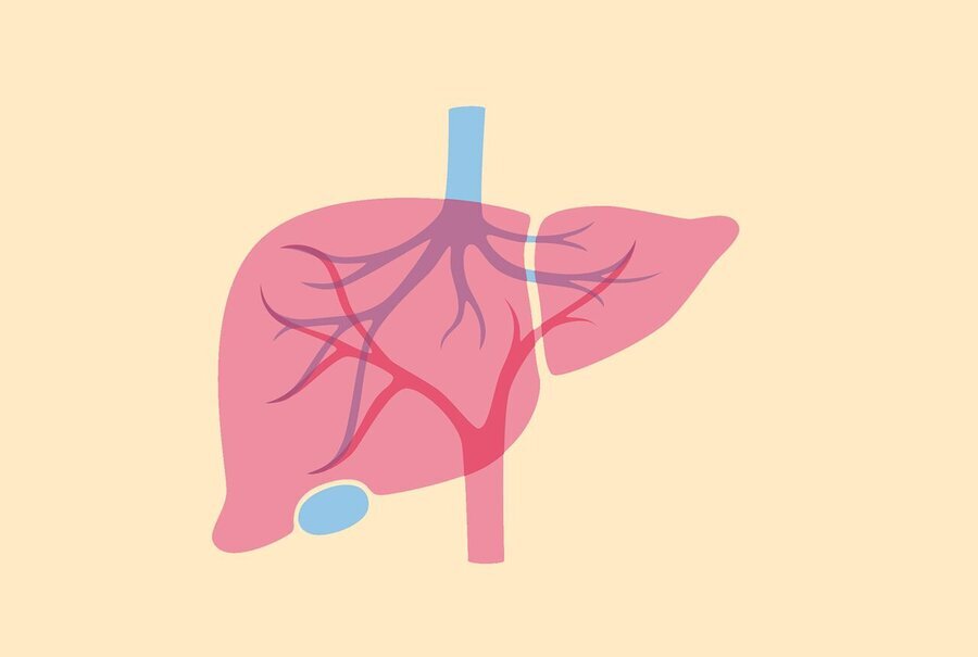 شرایطی که شما را در خطر سرطان کبد قرار می‌دهد