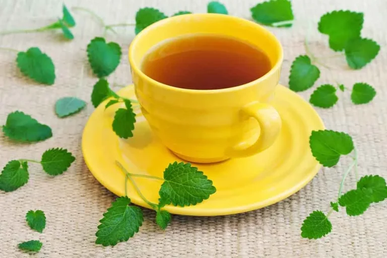 خواص دمنوش بادرنجبویه
