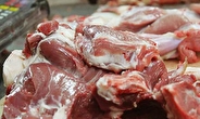 توزیع ۱۸ تن گوشت گرم در بین خانواده‌های نیازمند