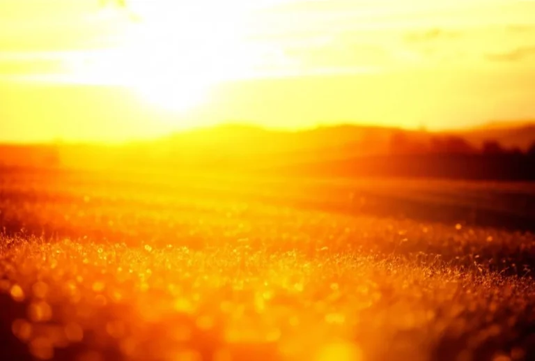 آقای آفتابی / Mr Sunshine