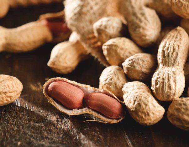 چگونه بادام زمینی حافظه و سلامت مغز را تقویت می‌ کند؟